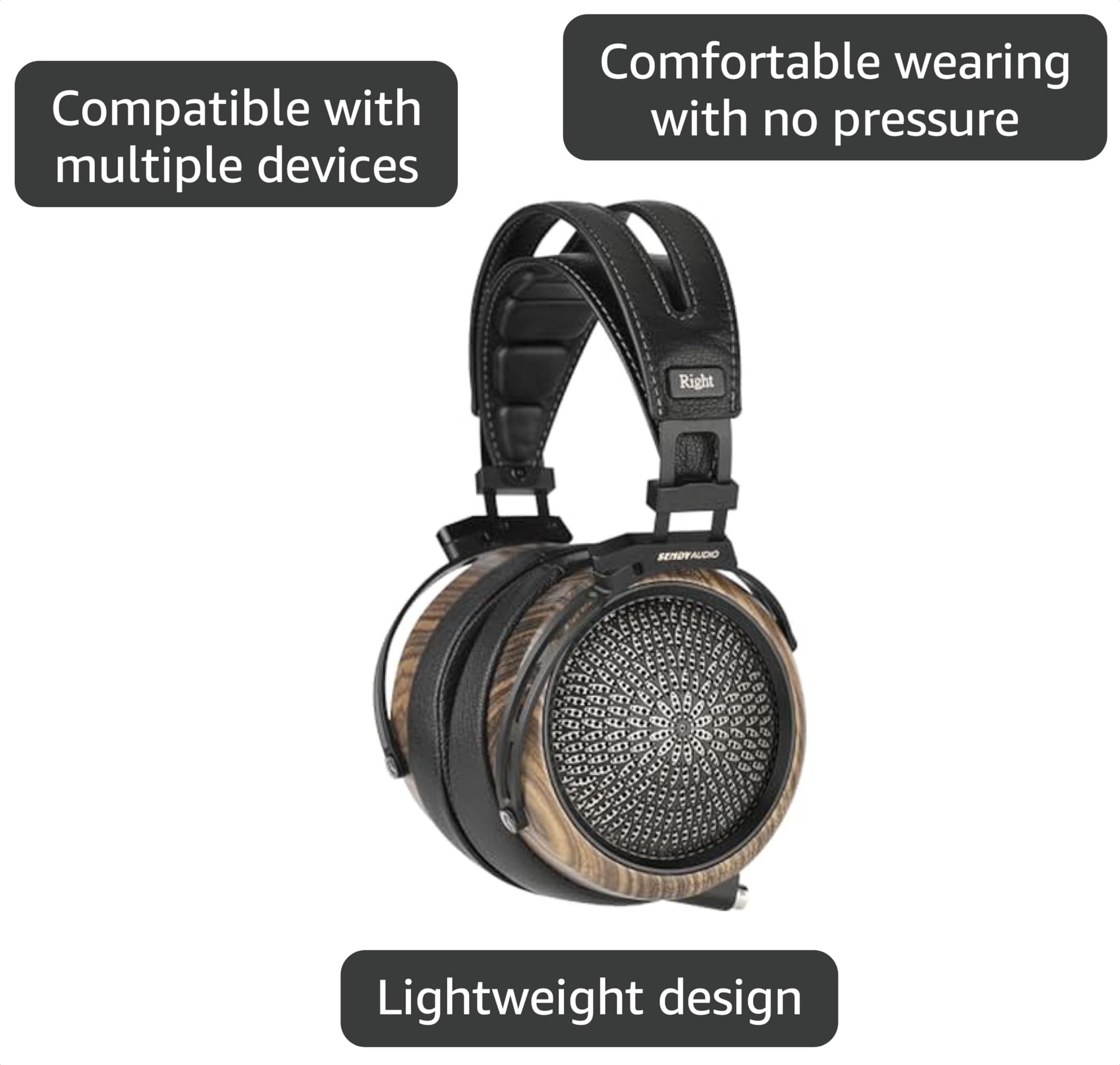 Amazon.com: SENDYAUDIO Peacock Black Planar Magnetic HiFi